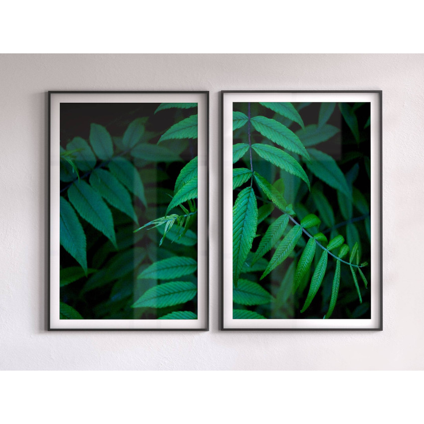 Green Leaves - Two Piece Poster