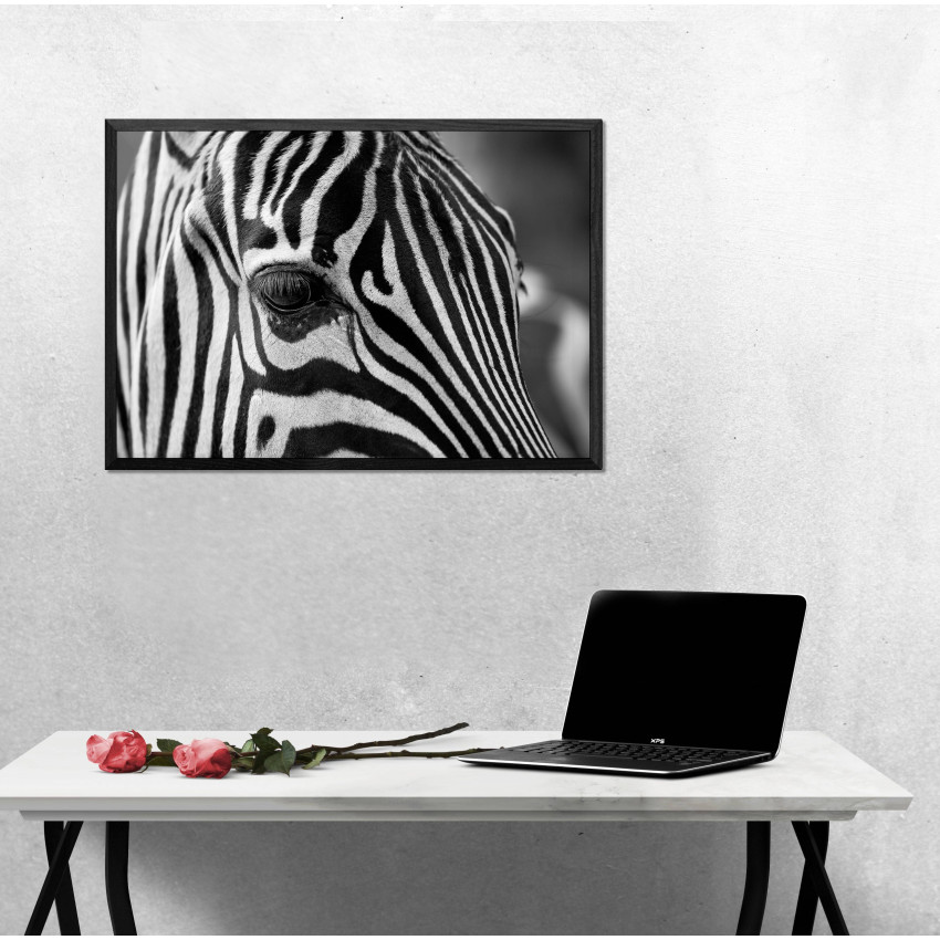 Zebra Close Up - Black and White Poster