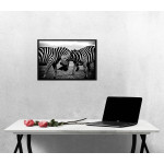 Zebra Close Up - Black and White Poster