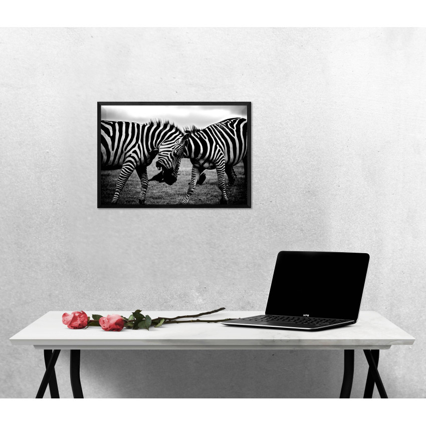 Zebra Close Up - Black and White Poster