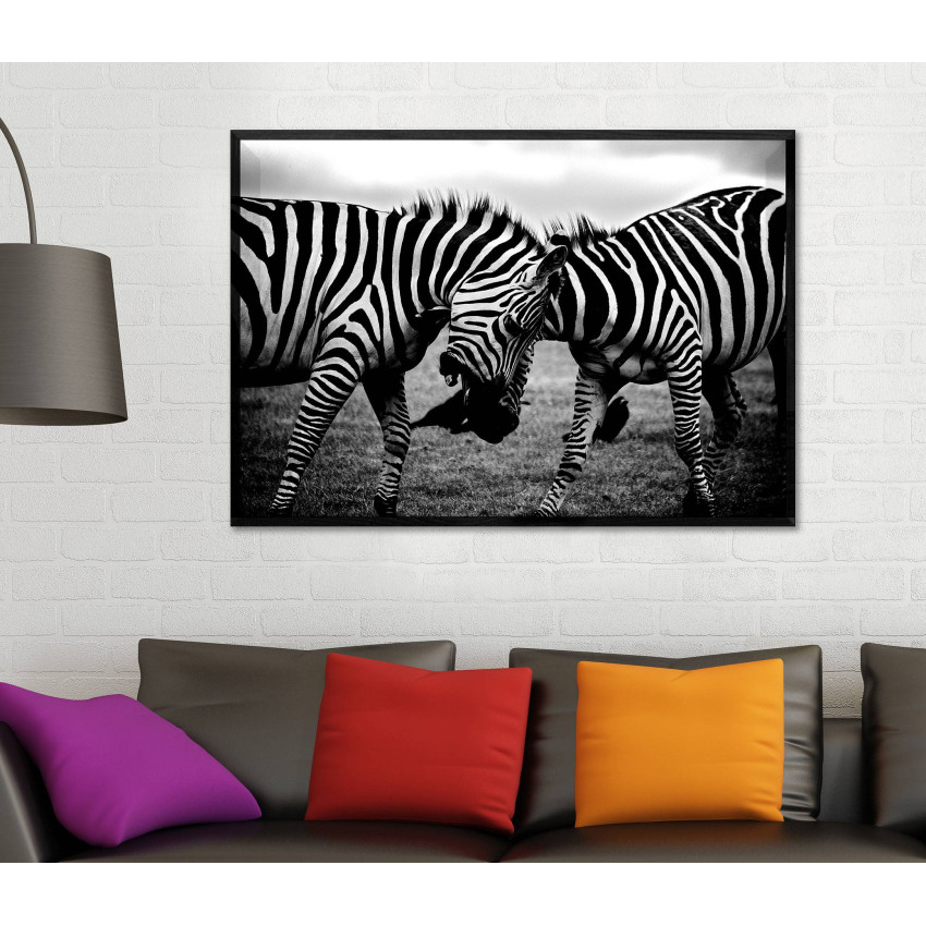 Zebra Close Up - Black and White Poster