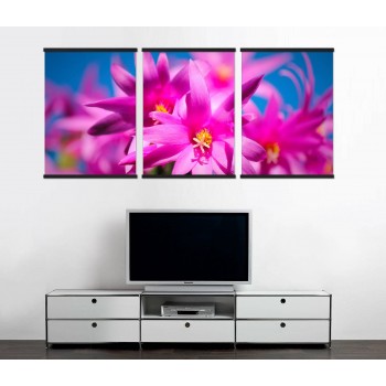 Vackra färgglada blommor - Tavla i tre delar Vackra färgglada blommor - Tavla i tre delar