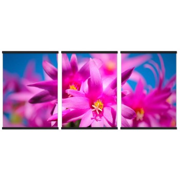 Vackra färgglada blommor - Tavla i tre delar Vackra färgglada blommor - Tavla i tre delar