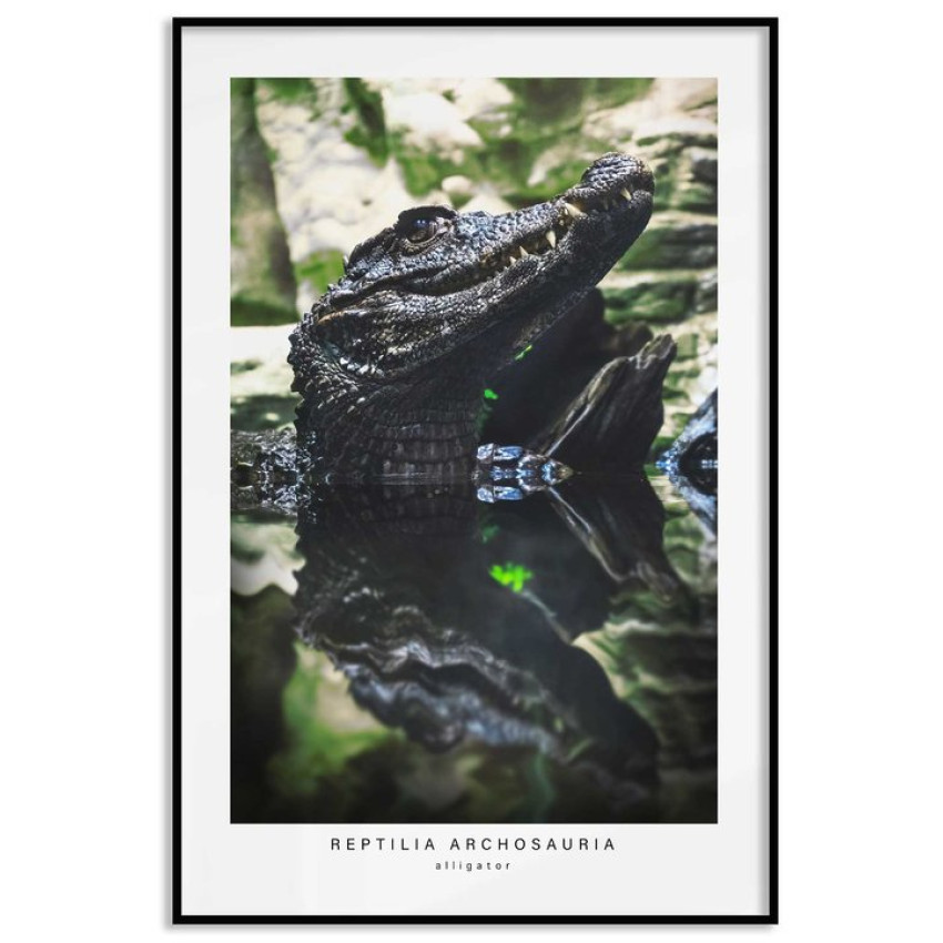 Alligator's profile - Green poster