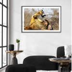 Lejon & flicka - Djurposter