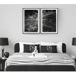 Abstrakt spindelnät - Uppdelad svartvit tavla