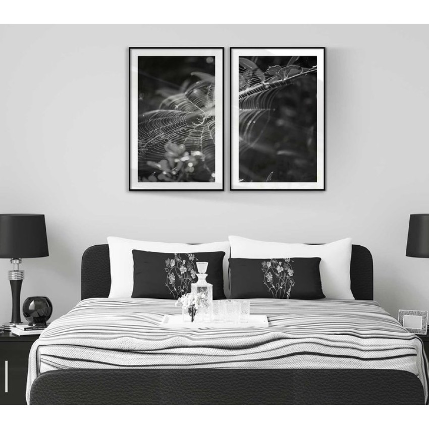 Abstrakt spindelnät - Uppdelad svartvit tavla