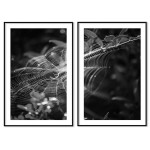 Abstrakt spindelnät - Uppdelad svartvit tavla