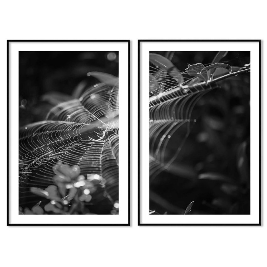 Abstrakt spindelnät - Uppdelad svartvit tavla