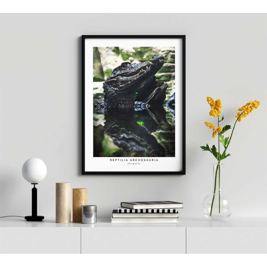 Alligator's profile - Green poster