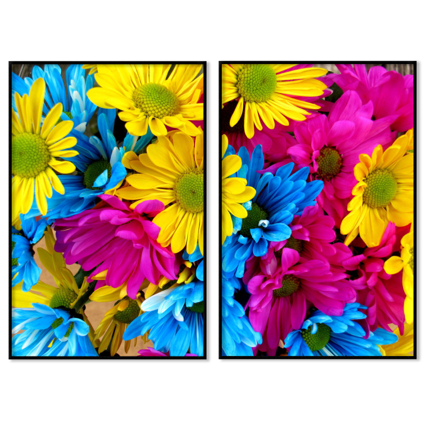 A sea of Daisies in Multible Colors