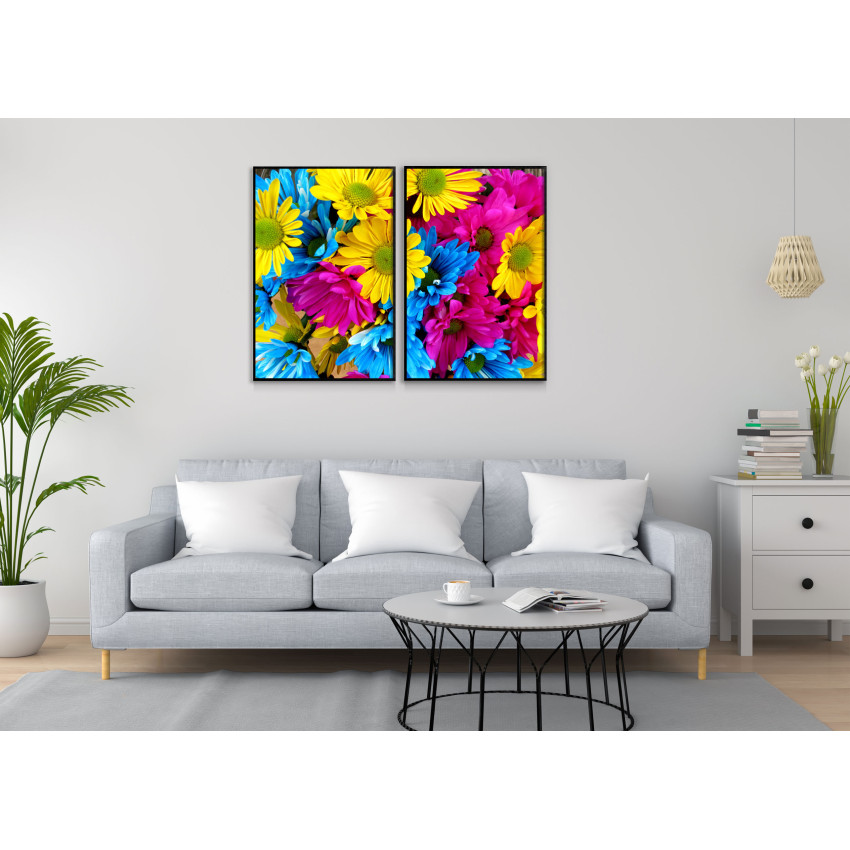 A sea of Daisies in Multible Colors