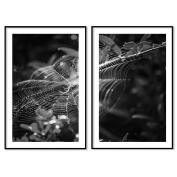 Abstract spiders web 50x70cm x 2 posters
