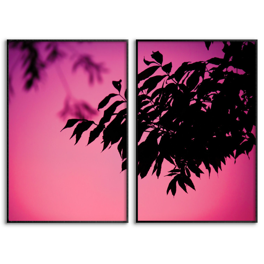 Rosa Botaniska Växter - Poster i Två Delar