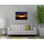 Afrikanskt Akacia Tr&auml;d - Poster & Fotografi