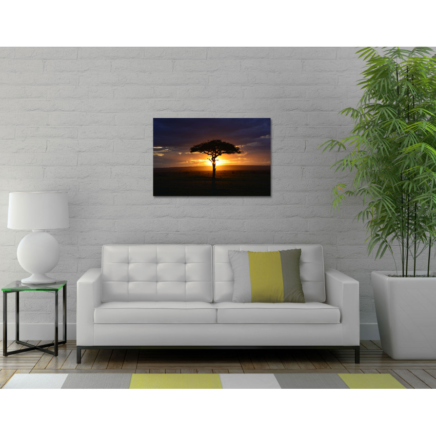 Afrikanskt Akacia Tr&auml;d - Poster & Fotografi