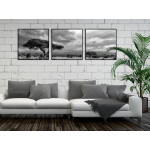 African Nature - Black and White Three Piece Poster