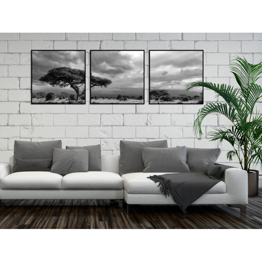 African Nature - Black and White Three Piece Poster