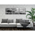 African Nature - Black and White Three Piece Poster