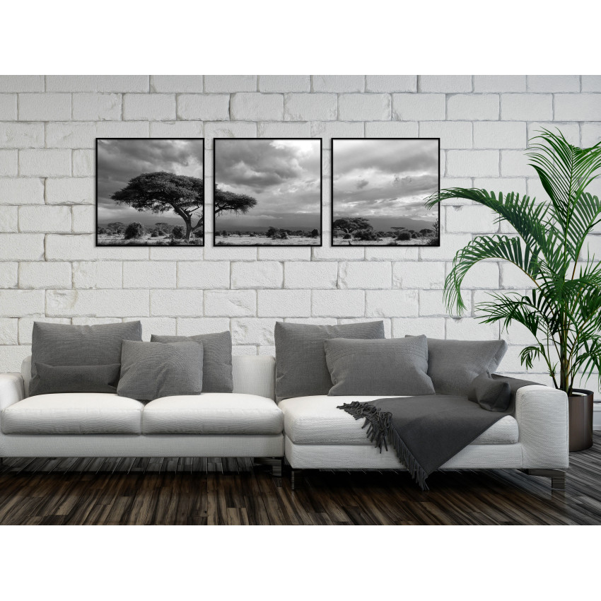 African Nature - Black and White Three Piece Poster