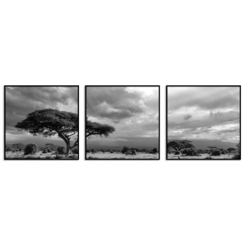 African Nature - Black and White Three Piece Poster