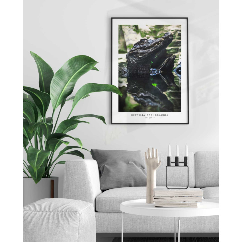 Alligator's profile - Green poster