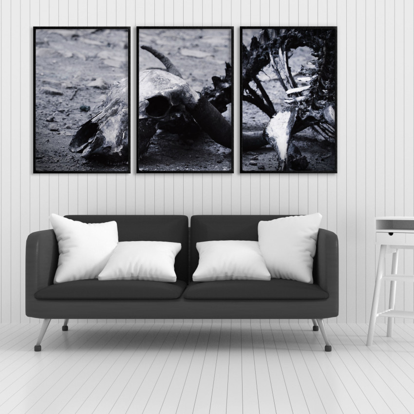 Animal Skeleton - Poster in Three Pieces