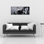 Animal Skeleton - Poster in Three Pieces