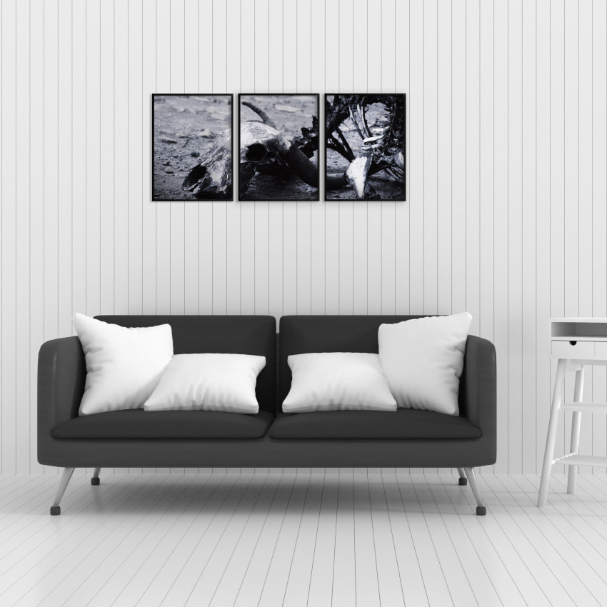 Animal Skeleton - Poster in Three Pieces