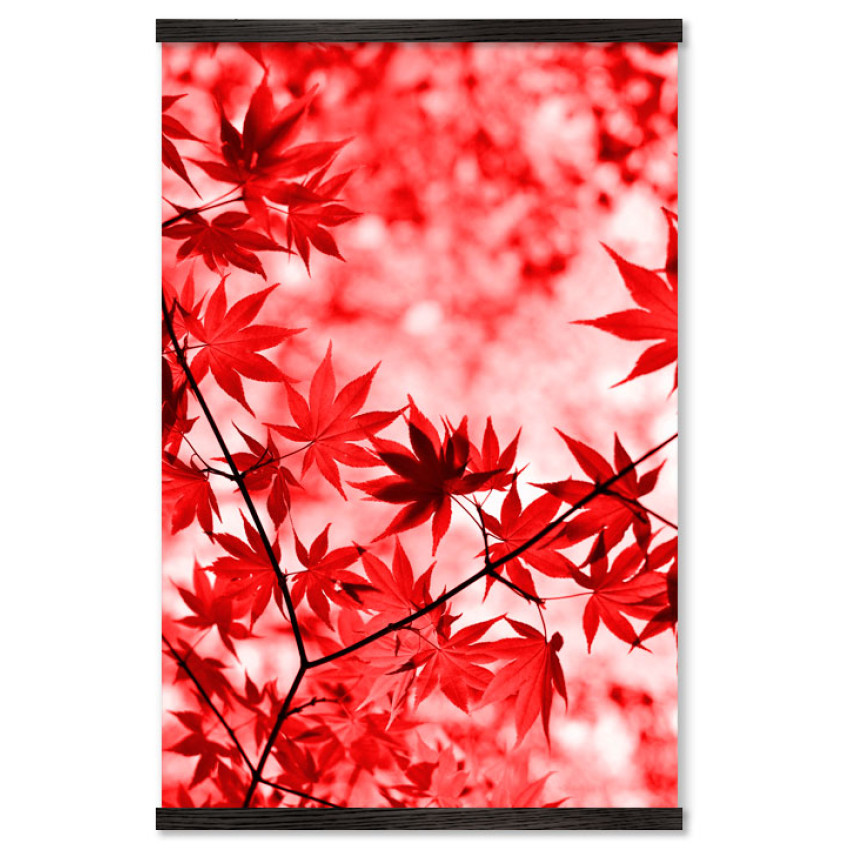 Autumn Leafs - Big Red Poster