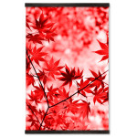 Autumn Leafs - Big Red Poster