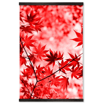 Autumn Leafs - Big Red Poster