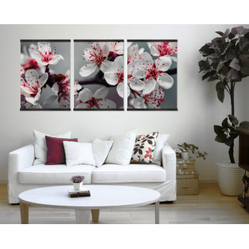 Beautiful and Colorful Flowers - Big Poster in Three Pieces