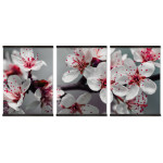 Fina färgglada blommor - Poster tavla i tre delar