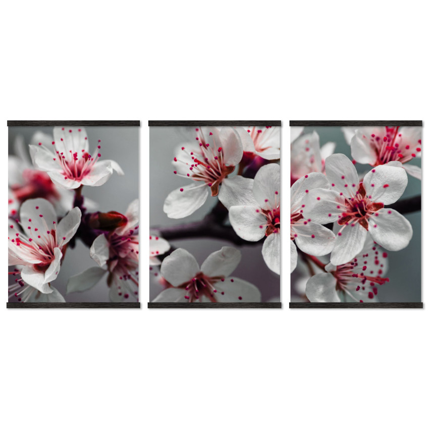 Fina färgglada blommor - Poster tavla i tre delar