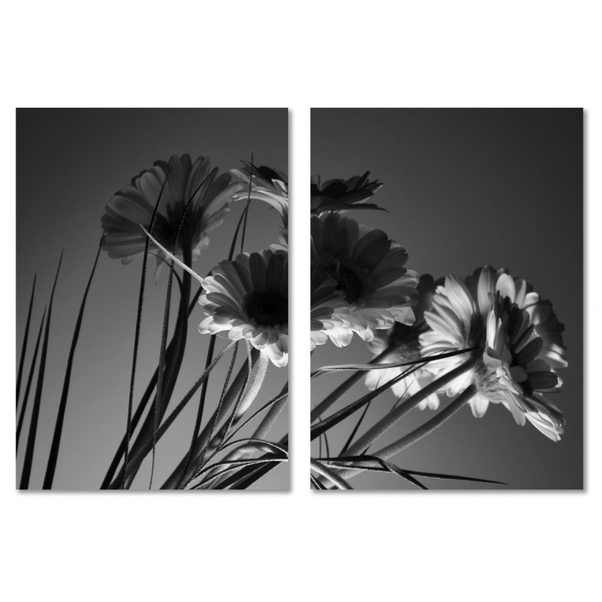 Vackra blommor - Stor svartvit tvådelad tavla