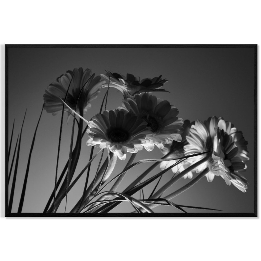 Beautiful Flowers - Black and White Poster