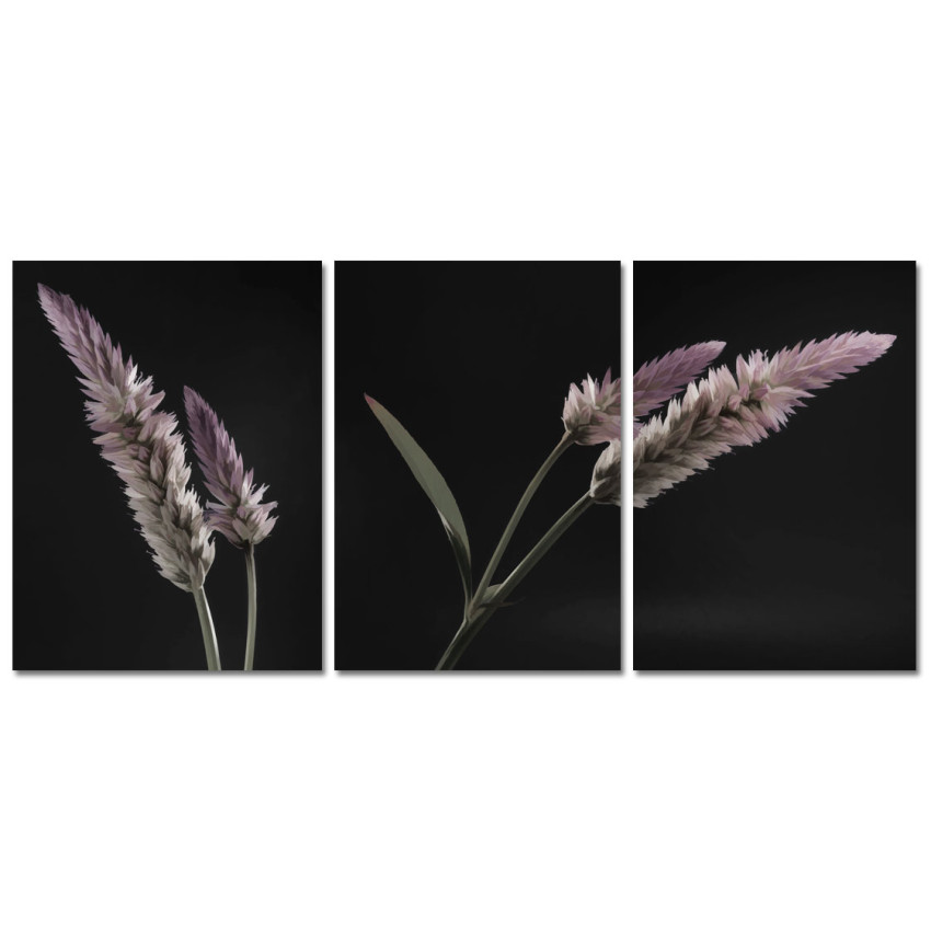 Beautiful Flowers - Poster in Three Pieces