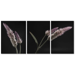 Beautiful Flowers - Poster in Three Pieces