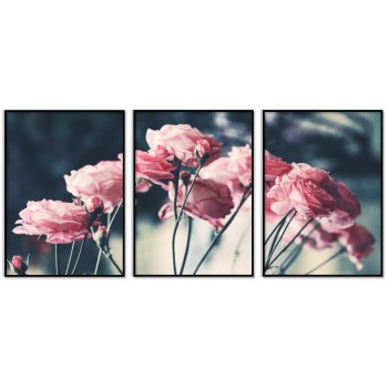 Beautiful Pink Roses - Three Piece Poster