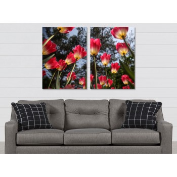 Vackra tulpaner - Stor poster tavla i två delar Vackra tulpaner - Stor poster tavla i två delar