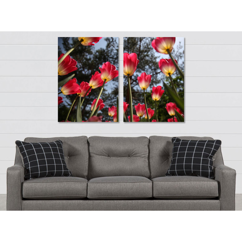 Beautiful Pink Tulips - Big Poster in Two Pieces