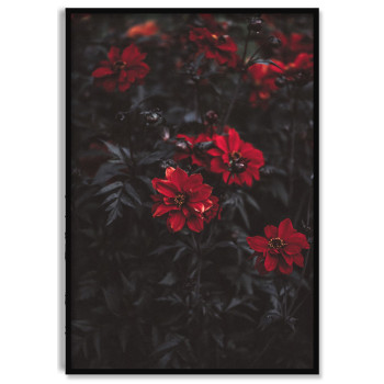 Beautiful Red Flowers - Black and White Poster