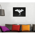 Beautiful Swan - Poster