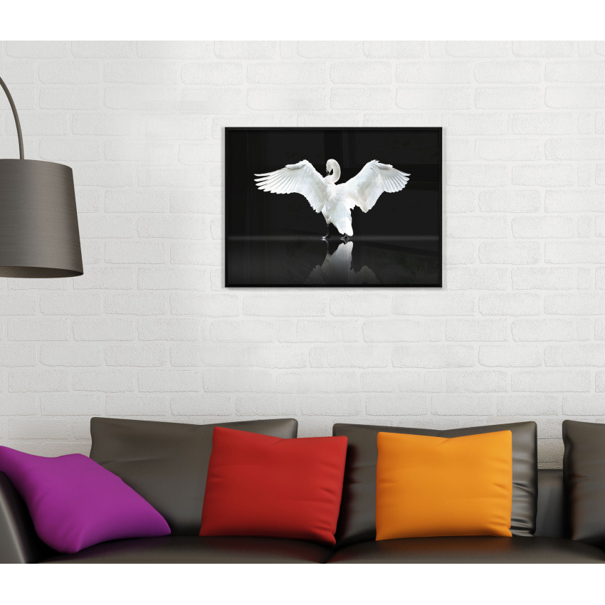 Beautiful Swan - Poster