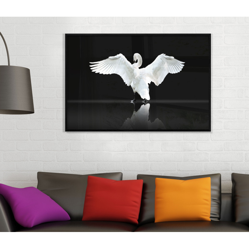 Beautiful Swan - Poster