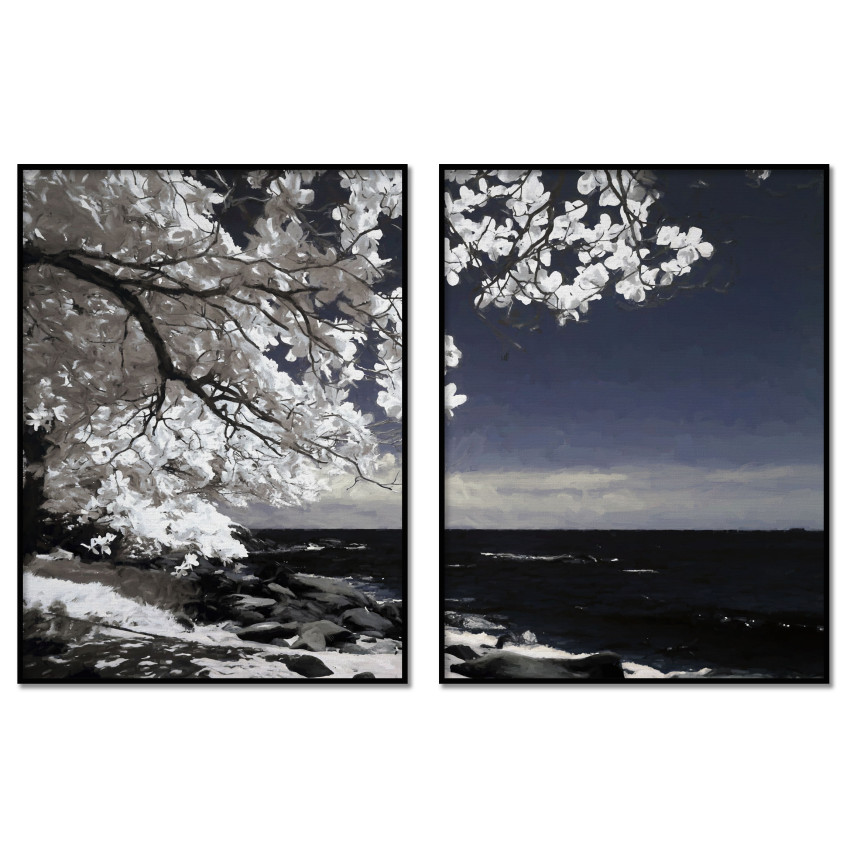 Beautiful Tree by the Beach - Two Piece Poster