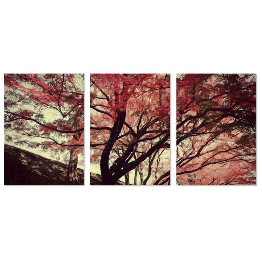 Beautiful Tree in the Fall - Big Poster in Three Pieces