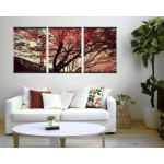 Beautiful Tree in the Fall - Big Poster in Three Pieces