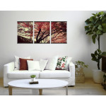 Beautiful Tree in the Fall - Big Poster in Three Pieces